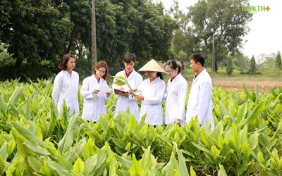 Phát triển cây thuốc dân tộc - Sứ mệnh của các doanh nghiệp Dược Việt Nam