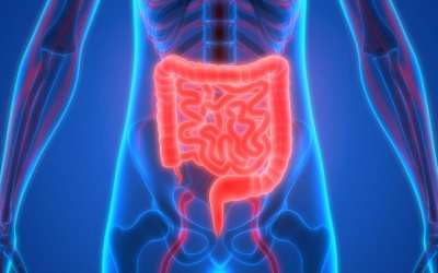 Những thực phẩm cần tránh nếu gặp phải những vấn đề về đường tiêu hóa