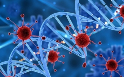 Bệnh đái tháo đường làm tăng nguy cơ ung thư: DNA có phải “thủ phạm” ?