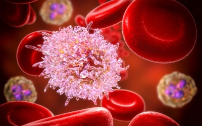 9 sự thật có thể bạn chưa biết về bệnh bạch cầu