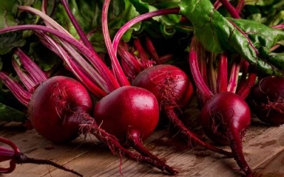 Hãy ăn củ dền ngay vì những lý do này