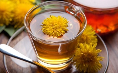 Những công dụng của trà bồ công anh có thể bạn chưa biết