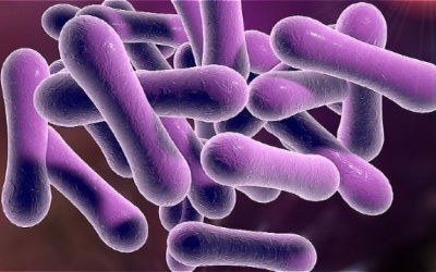 Nhận biết sớm bệnh bạch hầu với những dấu hiệu này