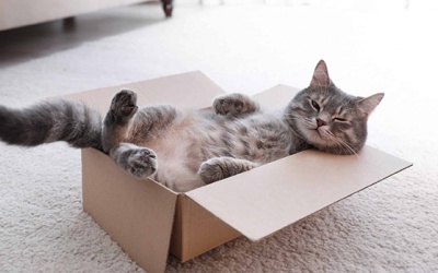 Tử vi thứ Sáu (26/6/2020): Bọ Cạp nên chú ý nghỉ ngơi, lấy lại tinh thần lạc quan