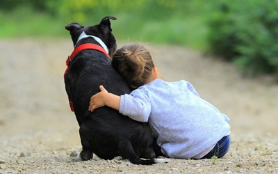 Tử vi thứ Ba (14/7/2020): Kim Ngưu nên học cách tin tưởng mọi người xung quanh