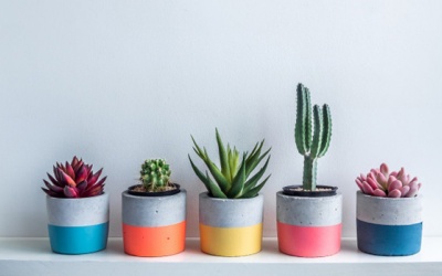 Tử vi thứ Năm (16/7/2020): Cự Giải sẽ có cái nhìn mới mẻ, độc đáo hơn về cuộc sống