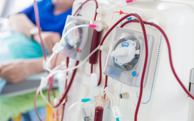 Người bị suy thận cần làm gì để ngăn ngừa nguy cơ phải chạy thận nhân tạo?
