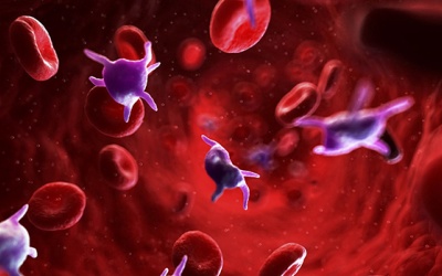 Giảm tiểu cầu do sốt xuất huyết: Ăn gì giúp tăng nhanh nhất?