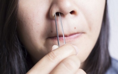 Chớ dại mà nhổ lông mũi