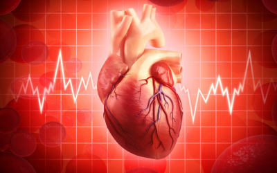 Tim đập nhanh khám không ra bệnh cần phải làm gì?