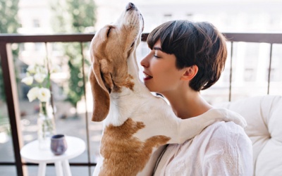 Tử vi thứ Sáu (31/7/2020): Thiên Bình có thể tác động tới tâm trạng của mọi người xung quanh