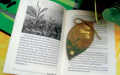 Sắc thanh vị thần & loại trà cung tiến Thượng Ty