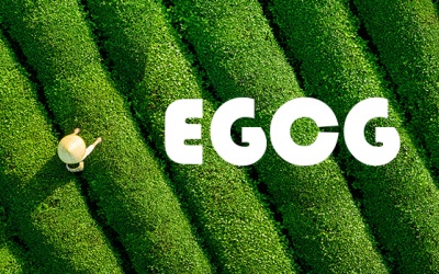 EGCG là gì và chúng có lợi gì cho sức khỏe?