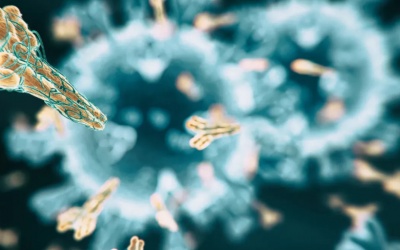 Tăng kháng thể IgA, hỗ trợ bảo vệ sức khoẻ trong mùa dịch