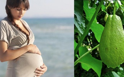 Bà bầu ăn su su có tốt không?