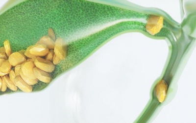 Sỏi ống mật chủ có thể gây những biến chứng khó chịu gì?