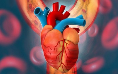 Dấu hiệu cảnh báo bạn có thể mắc bệnh tim mạch