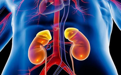 Cần làm gì để kéo dài tuổi thọ cho người suy thận mạn giai đoạn cuối?