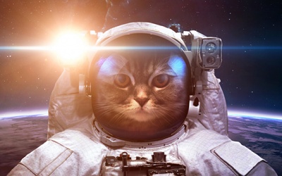 Tử vi thứ Hai (19/10/2020): Cự Giải nên mạnh dạn hơn trong cuộc sống