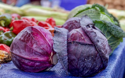 Ăn bắp cải tím giúp đường ruột khỏe mạnh?