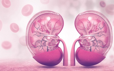 Thiếu máu do suy thận mạn: Cách nào khắc phục hiệu quả?