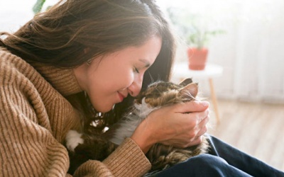 Tử vi thứ Sáu (6/11/2020): Nhân Mã đang hành động quá cảm tính, tùy tiện