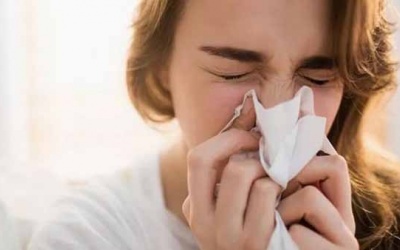 Những thực phẩm giúp xử lý cảm lạnh nhanh chóng