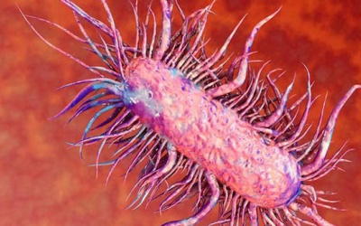 Bùng phát “vi khuẩn ăn thịt người” sau bão lũ, cách phòng ngừa ra sao?