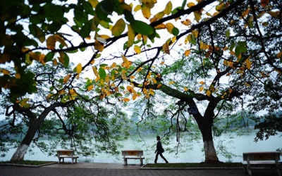 Thời tiết hanh khô, chất lượng không khí duy trì ở mức trung bình