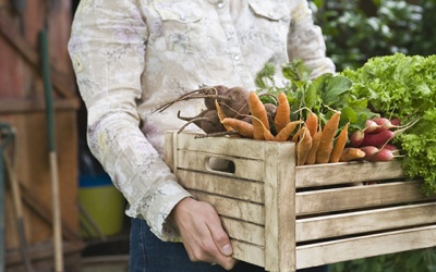 5 loại thực phẩm giúp giảm acid uric trong máu hiệu quả