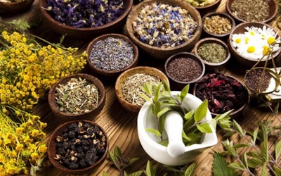 Cây thuốc Nam khắc phục biến chứng đái tháo đường