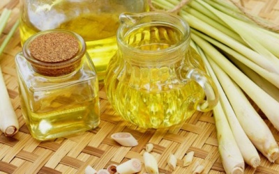 Tinh dầu nào tốt cho người bệnh tuyến giáp?