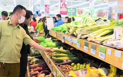 Phó Thủ tướng Vũ Đức Đam chỉ đạo triển khai sớm các biện pháp bảo đảm ATTP