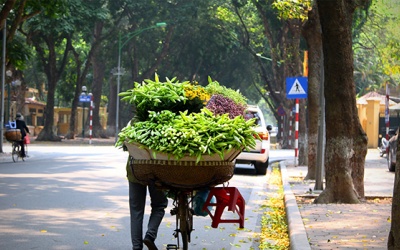 Dự báo thời tiết: Miền Bắc ngày nắng ấm, đêm rét