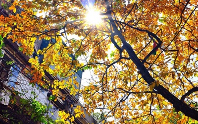 Chỉ số không khí Hà Nội 13/1: Cảnh báo 'đỏ' nhiều khu vực