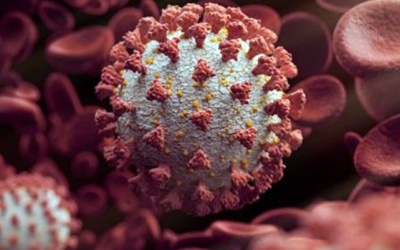 Mỹ phát hiện 2 biến chủng virus SARS-CoV-2 mới