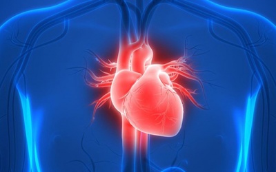 Vì sao tăng huyết áp gây suy tim trái?