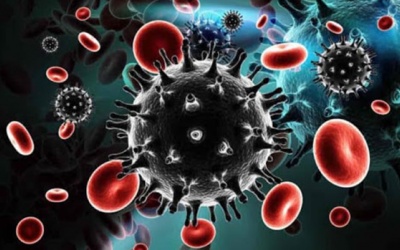 Một số bệnh nguy hiểm do virus gây ra