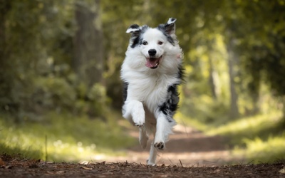 Tử vi thứ Ba (2/2/2021): Song Ngư nên chủ động hơn trong cuộc sống