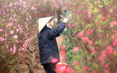 Dự báo thời tiết: Đề phòng mưa dông ngày 27-28 Tết