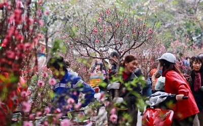 Ý nghĩa bất ngờ của các loại hoa chơi Tết đuổi tà, hút lộc cho gia chủ