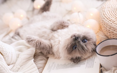 Tử vi thứ Bảy (20/2/2021): Song Ngư có thể bắt đầu kỳ nghỉ cuối tuần sớm