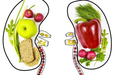 Thực phẩm nào giúp tăng sức khỏe thận?