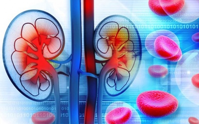 Làm sao phòng ngừa bệnh đái tháo đường biến chứng suy thận?