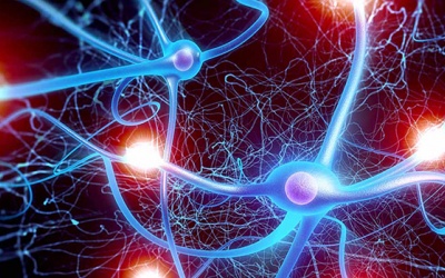 Rối loạn thần kinh thực vật có dùng được TPBVSK Ninh Tâm Vương?