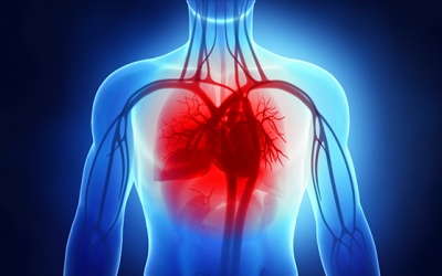 Suy tim độ 2 sống được bao lâu, làm sao kéo dài tuổi thọ?