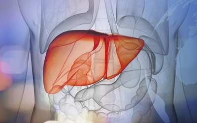 Người bệnh đái tháo đường bị gan nhiễm mỡ cần điều trị thế nào?