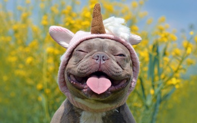 Tử vi thứ Bảy (13/3/2021): Bọ Cạp sẽ có ngày thứ Bảy năng động, vui vẻ