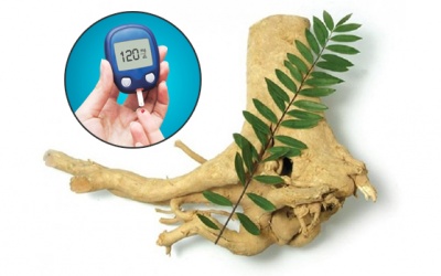 Cây mật nhân trị đái tháo đường: Có thật không?