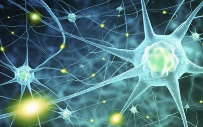 Cách giảm biến chứng thần kinh cho người bệnh đái tháo đường